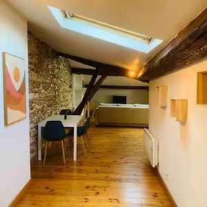  Appartement Spacieux En Plein Coeur De Castres France